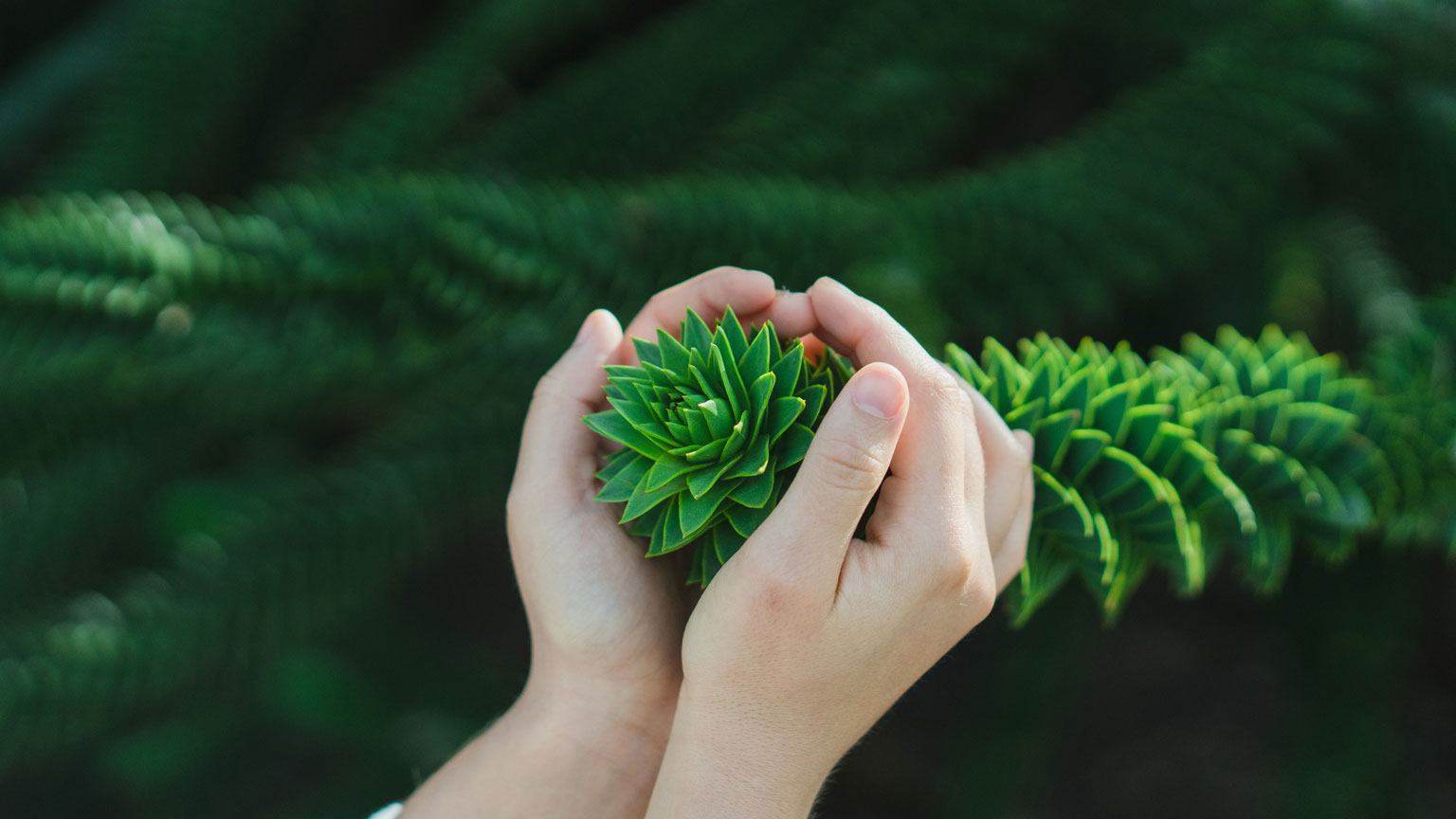BSV Motto Bringing Life to Life with biopharmaceutical products