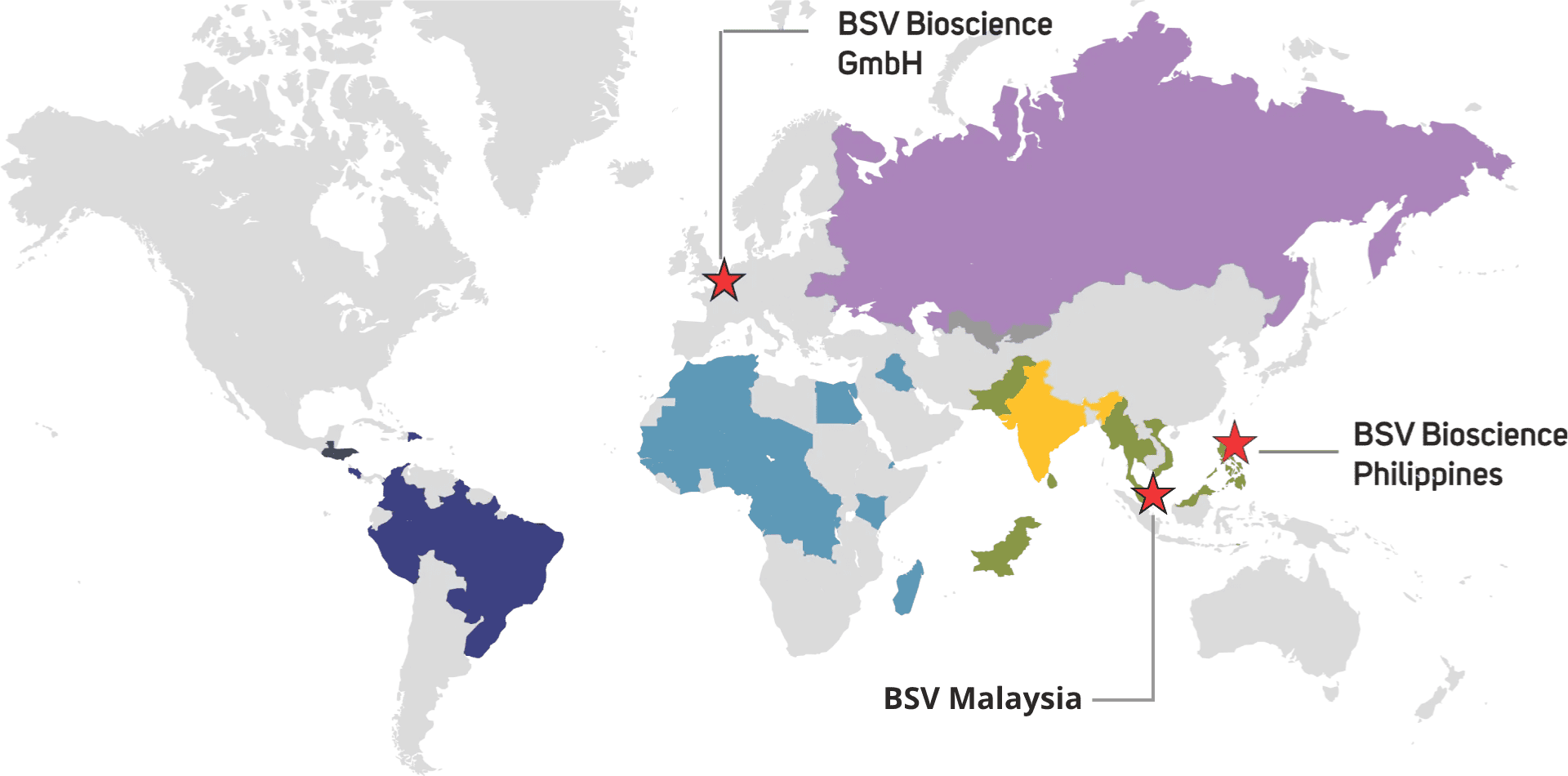 bsv-global-business-india-germany-philippines-malaysia-locations